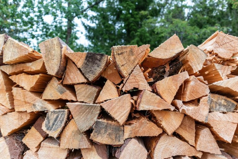 brown firewood lot